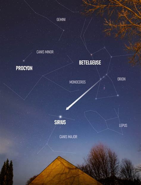 Sirius The Brightest Star In The Sky Pictures Facts And Location