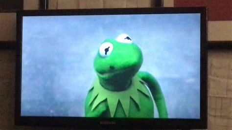 Muppets Most Wanted The Kidnap Of Kermit The Frog Youtube