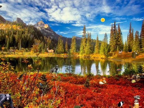 The fun part of this screensaver for windows 10 is that its hues and background keep shifting with. Windows 10 free Autumn screensaver - Autumn Fantasy ...