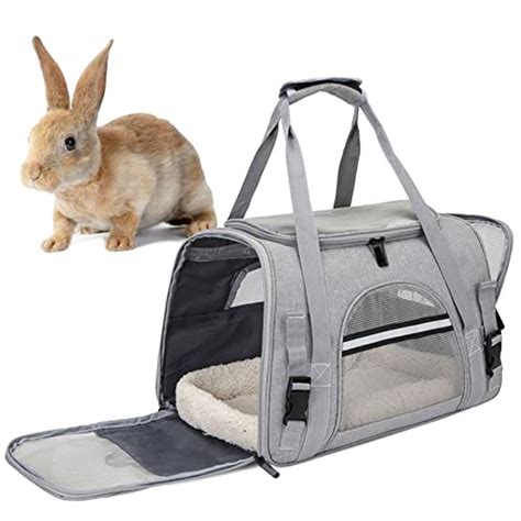 Top 10 Best Rabbit Carrier For Travel Rabbit How