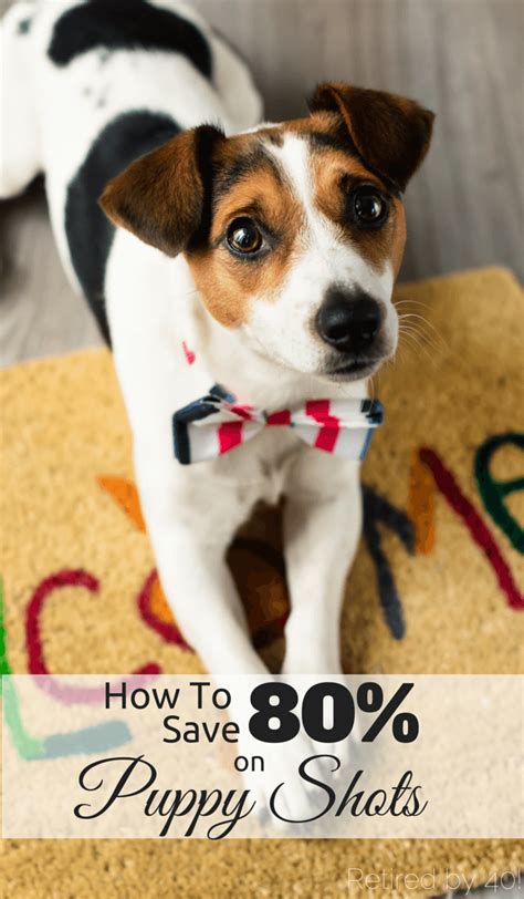 How To Save 80% On Puppy Shots - Living on Fifty