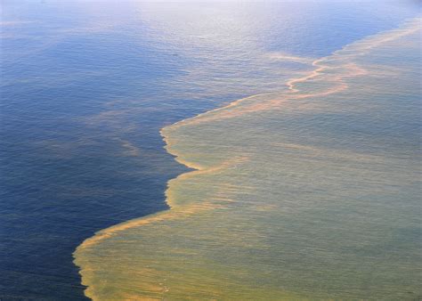 Uga Awarded 188 Million In Funding To Study Impacts Of Oil Spill On