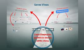 Se denominan elementos biogénicos o bioelementos a aquellos elementos químicos que forman parte de los seres vivos. Constituyentes químicos de los seres vivos by Sergio MR on ...