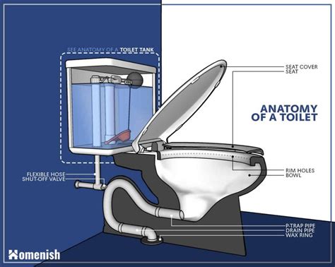 Parts Of A Toilet And How It Works 3 Detailed Diagrams Homenish