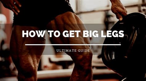 how to get big legs fast ultimate guide lift big eat big