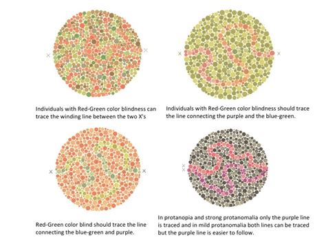 Blue purple color blind test. Color blind test