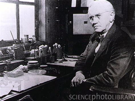 Alexander Fleming La Penicilina Como Medicamento Microbichitos