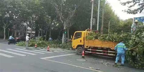 台风天驾驶指南上线！上海警察蜀黍为你划了三个关键词新华报业网