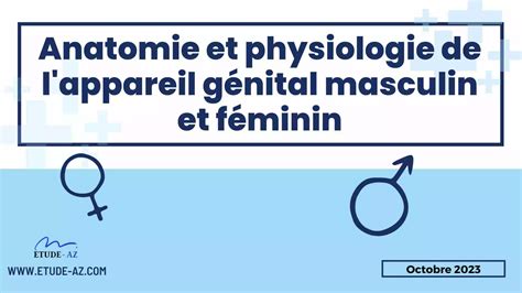 Anatomie Et Physiologie De L Appareil G Nital Masculin Et F Minin Pdf