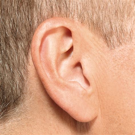 Invisible Hearing Aids Microtech Microlens Invisible Hearing Aids
