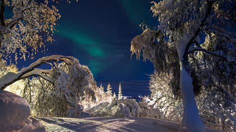 Northern Lights Winter Wonder Guided Tour All Iceland