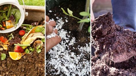 Simple Ways To Add Nutrients To Your Soil Garden Beds