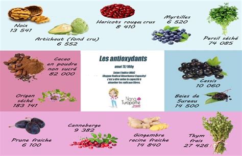 Les Antioxydants Alimentation Alimentation Et Santé Aliments Bons