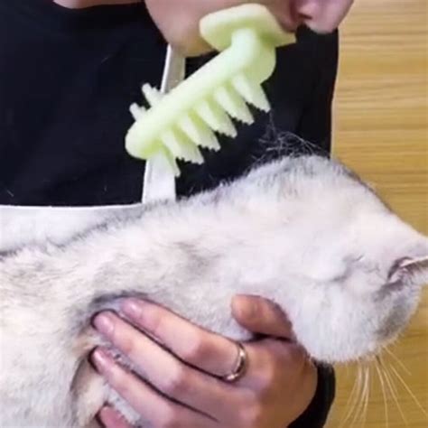Massage Tools Lick Cat Brush Brushes For Cats Funny Interactive Toy Cat