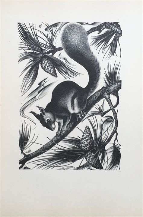 1936 Agnes Miller Parker Woodcut Squirrel On Pine Tree Printed At Camelot Press C 10x7 5 Ins