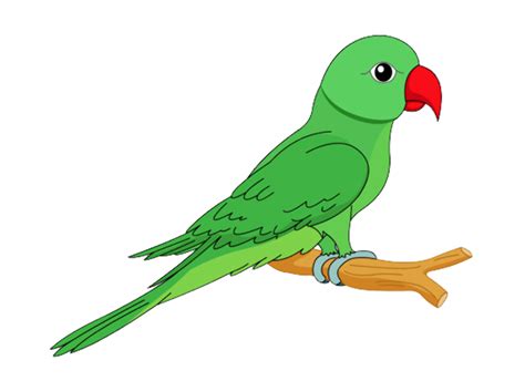 Download High Quality Parrot Clipart Green Transparent Png Images Art