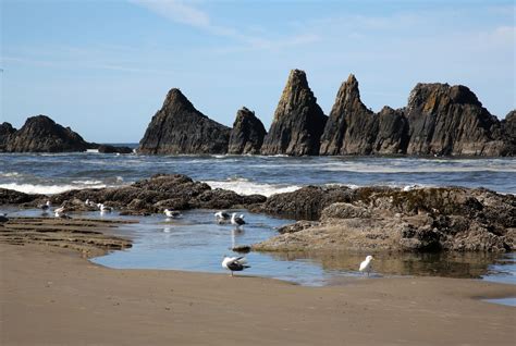 Seal Rock Is A Beautiful Fascinating Beach On The Central Oregon Coast