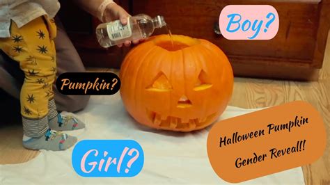 Halloween Pumpkin Gender Reveal Youtube