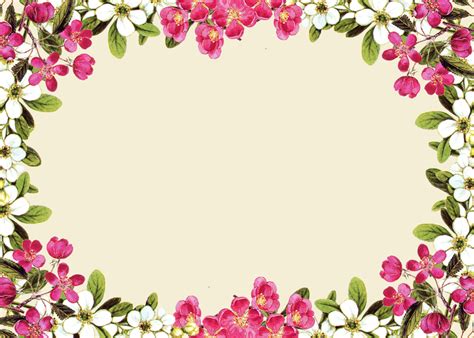 Pink Floral Borders Free Digital Flower Frame Png And Flower Frame