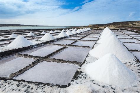 Harvesting Salt From The Ocean A Great Skill To Learn Outdoor Revival