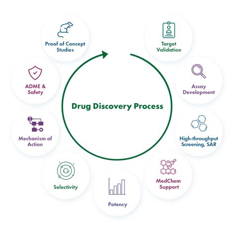 About Our Drug Discovery Cro Reaction Biology
