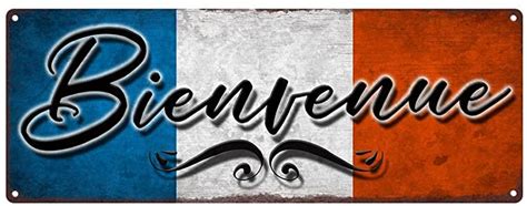Amazon.com: Bienvenue French Welcome Metal Sign, 4”x12”, French, France ...