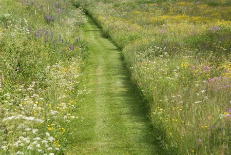 Mown Path Through Meadow Jardins Paysage Herbe Pelouse