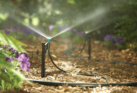 12 Diy Drip Irrigation To Water Your Plants Frugally The Self