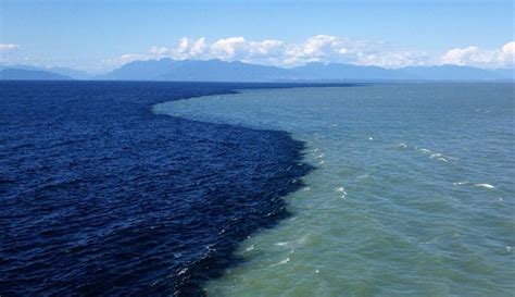 Почему воды двух океанов не смешиваются встречаясь Географическое