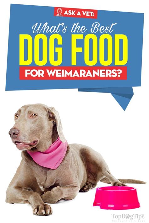 Nom nom beef mash fresh dog food, $30.44 per week. 9 Vet Recommended Foods for Weimaraners | Weimaraner, Best ...