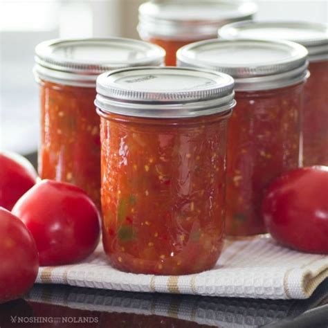 homemade canned tomato salsa     fresh summer produce