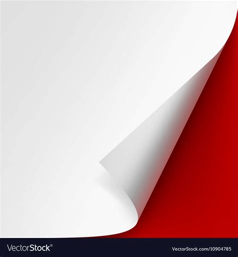 Curled Corner White Paper With Shadow Isolated Vector Image