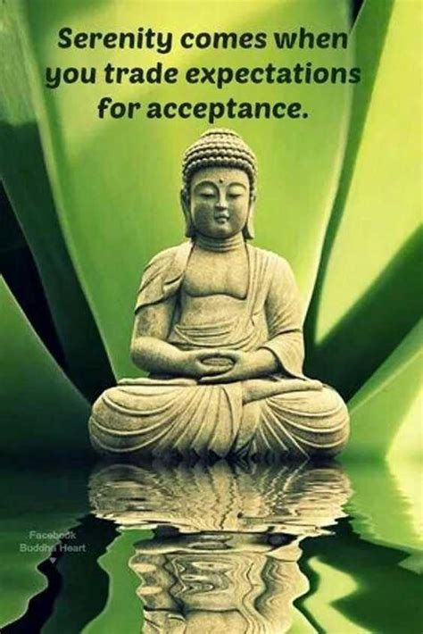 38 Awesome Buddha Quotes On Meditation Spirituality And Happiness