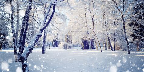 Winter Scenes That Show The Best Side Of The Season Photos Huffpost