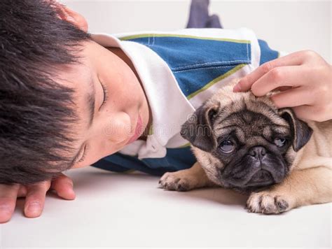 Teen Boy And His Cute Pet Pug Dog Stock Image Image Of Doggie Puppy