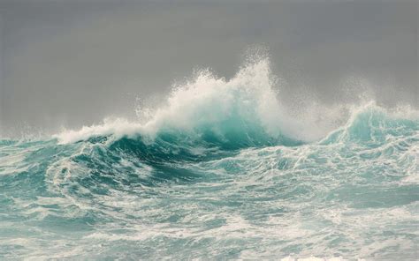Atlantic Ocean Storm Waves Ocean Wildlife List