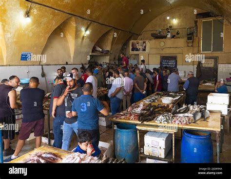 Auction In The Fish Market North Governorate Tripoli Lebanon Stock