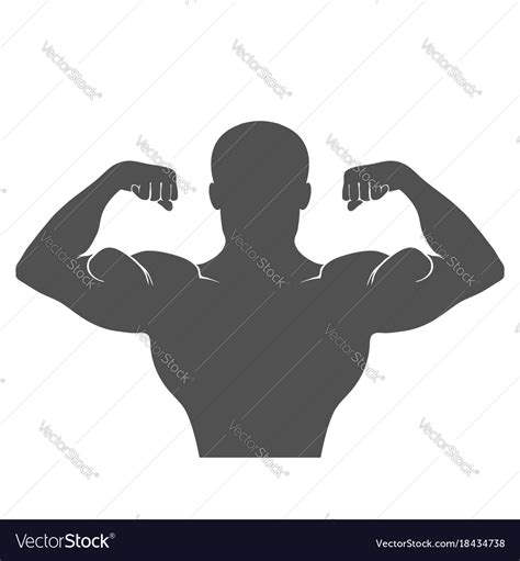 Front Double Biceps Pose Royalty Free Vector Image