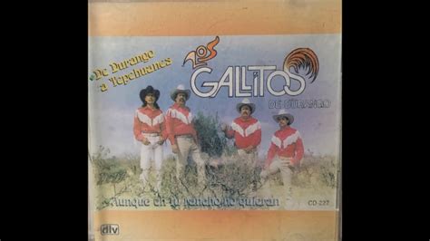 Los Gallitos De Durango Youtube