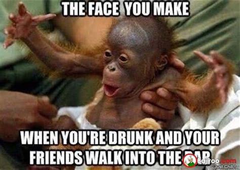 47 Very Funny Monkey Memes Images Pictures S And Photos Picsmine