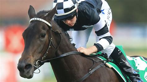 Brent zerafa is a presenter, journalist and tipster with a wealth of experience and knowledge in the racing industry. Young jockey Tommy Berry looking forward to weekend rides