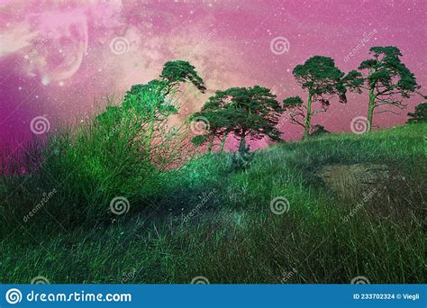 Fantasy Night Landscape Surreal View With The Moon Grass And Bushes