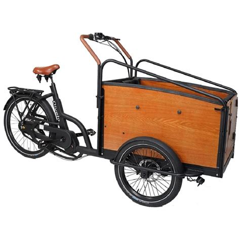 Bakfiets Electric Cargo Bike Ph