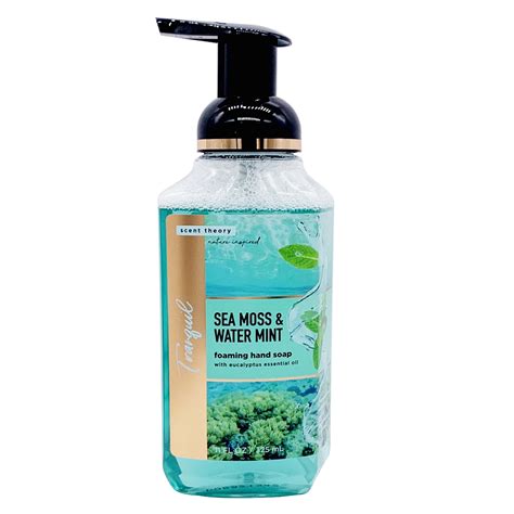 Scent Theory Nature Inspired Foaming Hand Soap Sea Moss And Water Mint