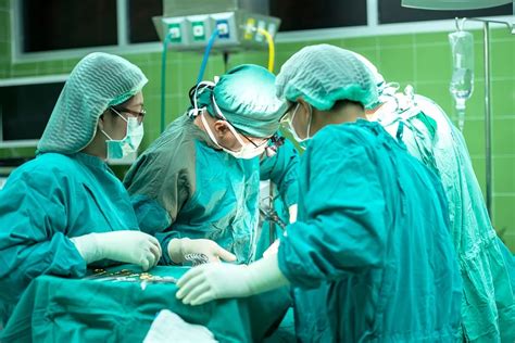 Pertama Dalam Sejarah Medis Transplantasi Organ Babi Ke Manusia