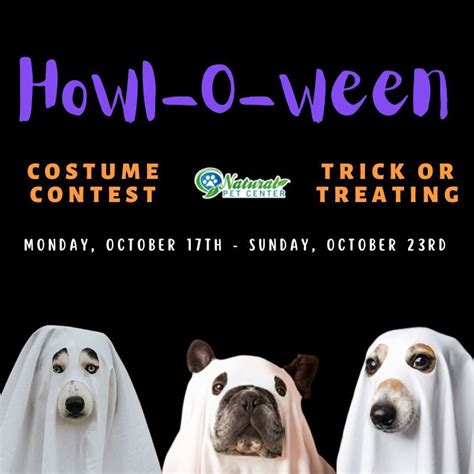 Dog Halloween Costume Contest Natural Pet Center