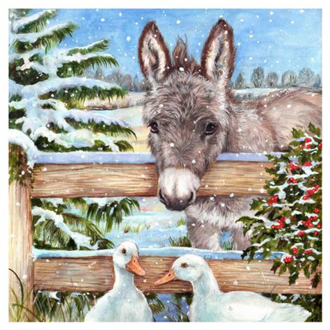Christmas Donkeys Message Inside Reads Christmas Wishes Pack Of 10