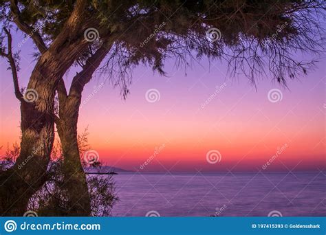 Beautiful Summer Sunset Over The Warm Sea Stock Image Image Of Clouds