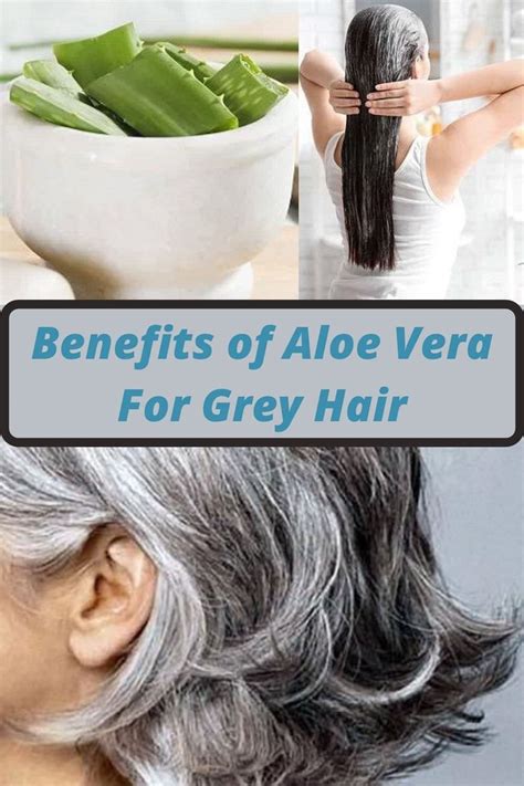 Aloe Vera For Grey Hair Benefits Recipes Aloe Vera For Hair Oil