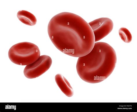 Red Blood Cell Hi Res Stock Photography And Images Alamy